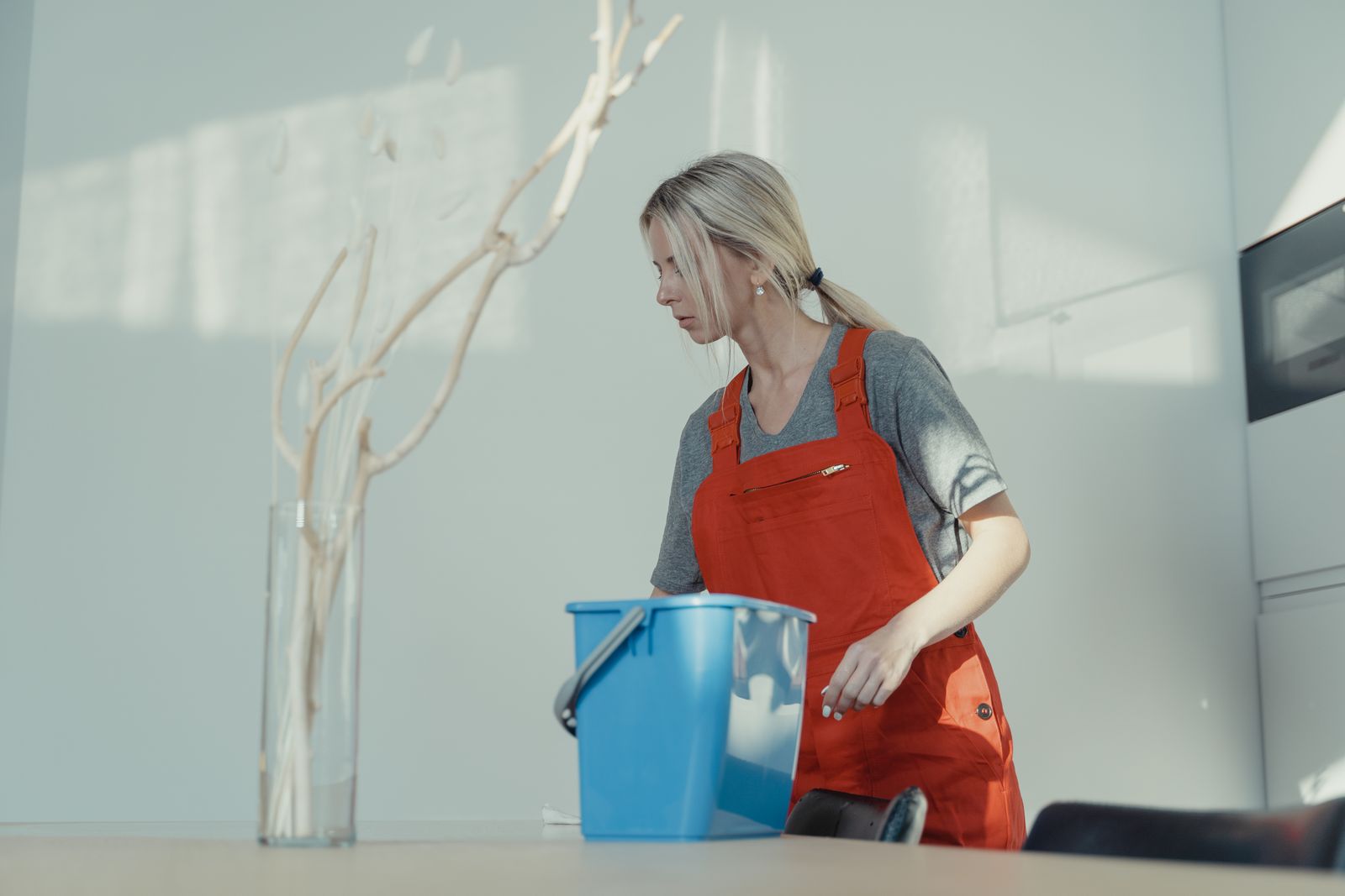 Recurring house cleaning service in Gentry, AR